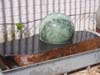 Sphere Display